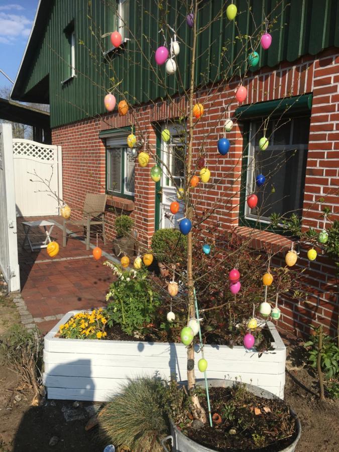 Ferienhaus Staben Eggstedt ภายนอก รูปภาพ