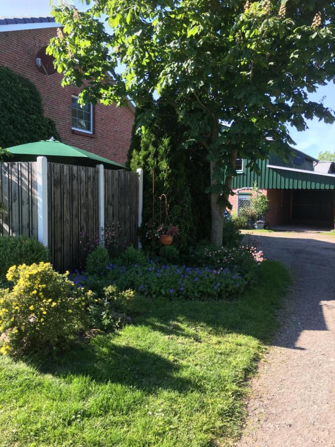 Ferienhaus Staben Eggstedt ภายนอก รูปภาพ