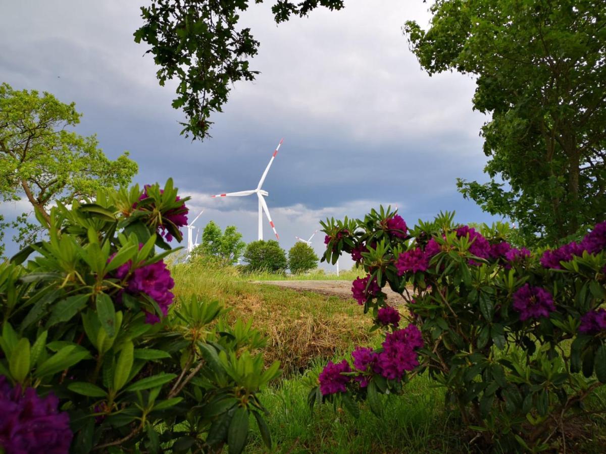 Ferienhaus Staben Eggstedt ภายนอก รูปภาพ
